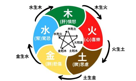 強水 強金|五行相生相剋3大重點｜了解五行，改善生活大小